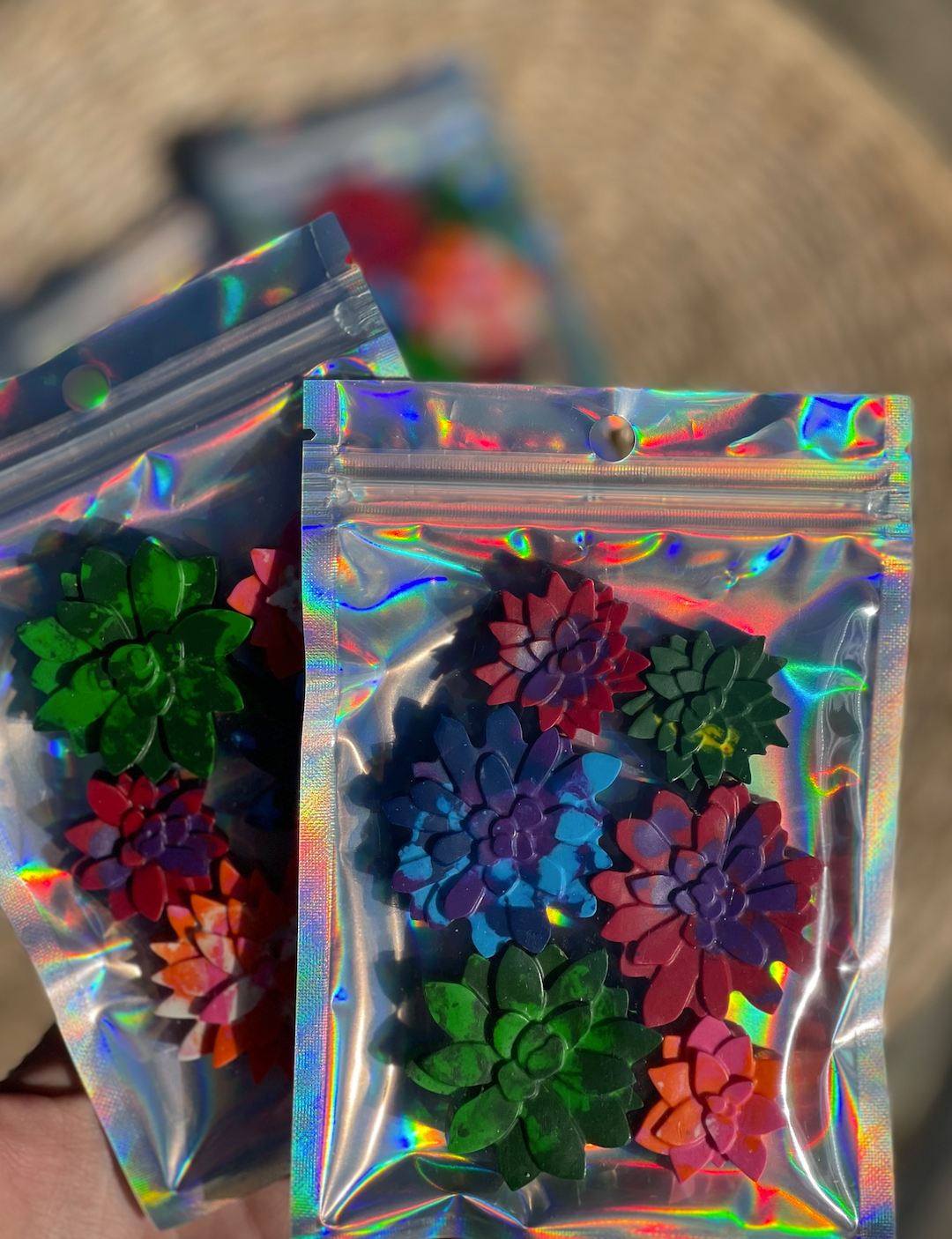 Succulent Crayons - Assorted Colors