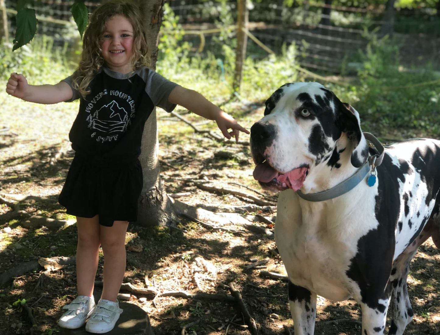 SALE - Toddler Unisex - 'Moving Mountains & Stuff' Raglan Tee - Black/Heather Grey